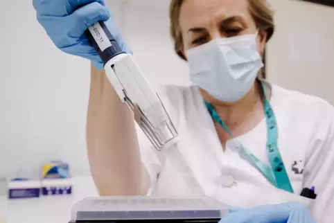 Eine Krankenschwester bereitet PCR-Tests zur Erkennung des Affenpockenvirus vor.