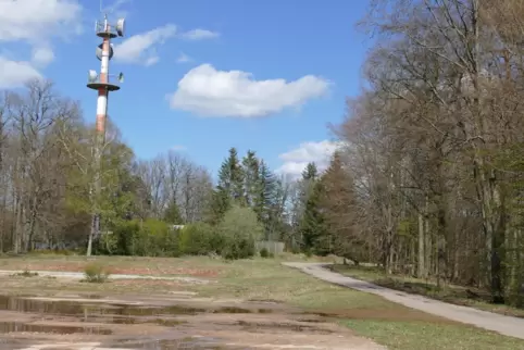 Noch immer ist der Boden im Bereich der ehemaligen Militärstation Langerkopf mit Beton und Asphalt versiegelt. 