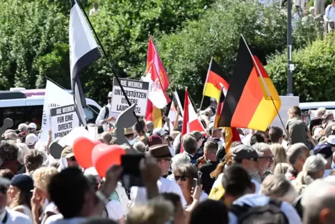 Demonstranten in weiß haben kürzlich das Hambacher fest in Neustadt gestört. Jetzt soll es eine Versammlung Weißgekleideter in L