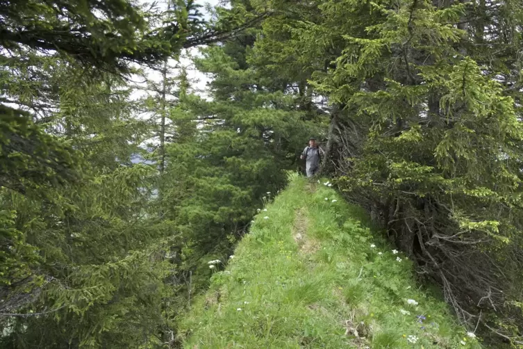 Immer wieder wird der Weg auf dem Heuberggrat recht schmal. Auch diese Passage erreichten die Sch&uuml;ler nicht mehr. 