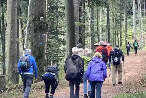 Wanderer im Pfälzerwald: Dass sich jemand verläuft, kommt immer mal wieder vor, aber selten. 