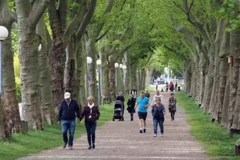 Unser scheenie Allee, so wie mer se kennt.