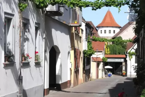 In der Wachenheimer Langgasse wurde ein Verkehrsschild aus der Verankerung gerissen. 