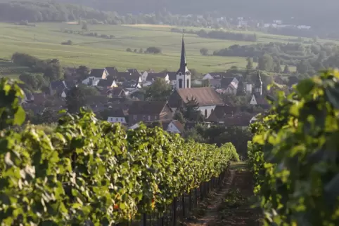 Blick auf Göcklingen. 
