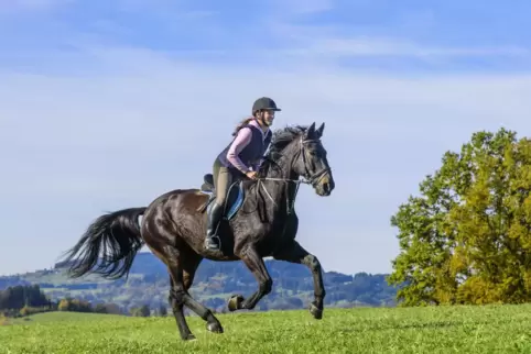 Reiten sorgt nicht nur für einen fitten Körper, sondern macht durch das Zusammenspiel aus Pferd, Natur und Reiter auch glücklich Reiten sorgt nicht nur für einen fitten Körper, sondern macht durch das Zusammenspiel aus Pferd, Natur und Reiter auch glücklich