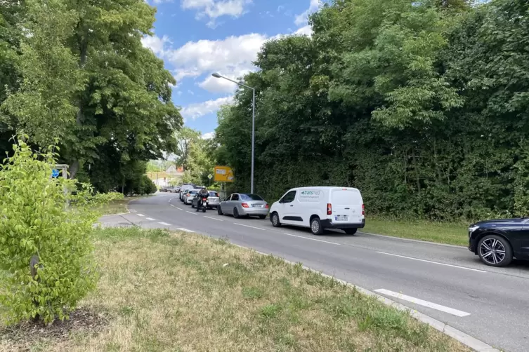 Wegen der l&auml;ngerer Schlie&szlig;zeiten der Schranken stauen sich Autos teilweise bis zum Eingang des Einkaufszentrums zur&uuml;ck. 