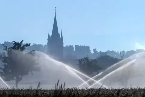 Der Beregnungsverband versorgt rund 13.500 Hektar Fläche mit einem Uferfiltrat aus dem Otterstadter Altrhein.