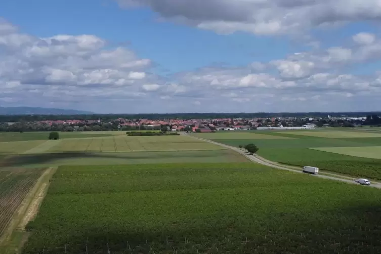 Im Grünen: Offenbach. 