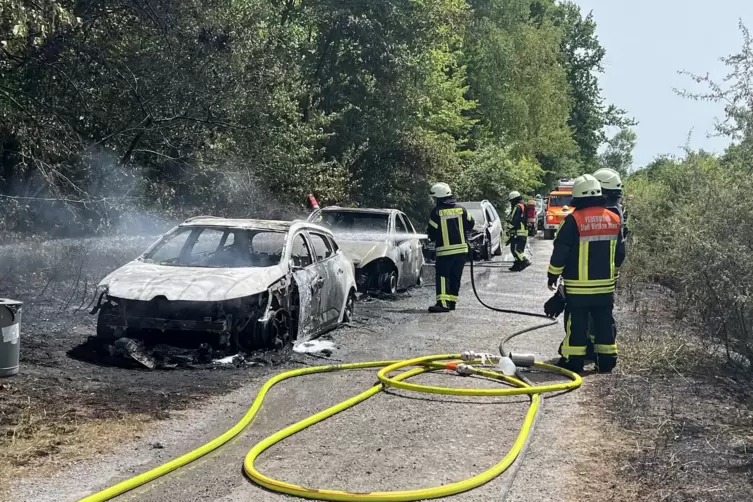 Die Autos wurden teils durch das Feuer komplett zerst&ouml;rt.
