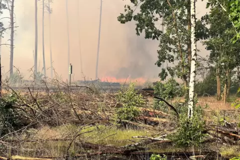 Brandenburg, Treuenbrietzen: Flammen sind Waldstück bei einem Waldbrand zu sehen. 