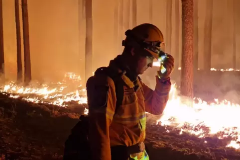 Waldbrand bei Beelitz