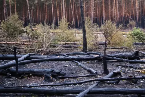 Starker Regen hat der Feuerwehr beim Löschen geholfen. 
