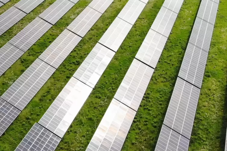 Unter den Solarmodulen der geplanten Photovoltaikanlage bei Katzenbach soll sich Grünland entwickeln können, sodass eine Beweidu