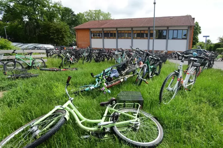 Die Schulen als Fahrrad-Hochburgen: Drahtesel vor dem Doppelgymasium.