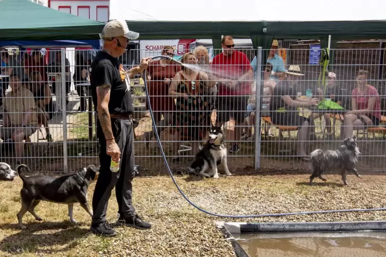 Mit Schlauch und Planschbecken: Hundetrainer Ralf Heieck bietet den Vierbeinern eine Möglichkeit zur Abkühlung.