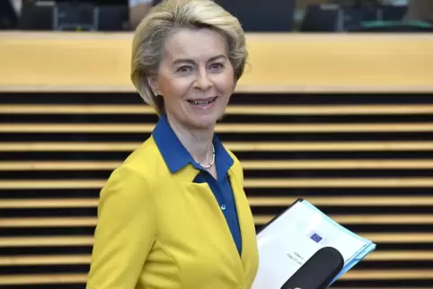 Ursula von der Leyen erhält viel Lob für ihren Infrastrukturplan.