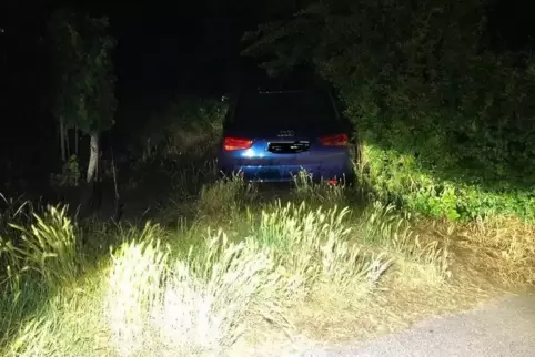 Die junge Frau „parkte“ in einer Grünfläche.