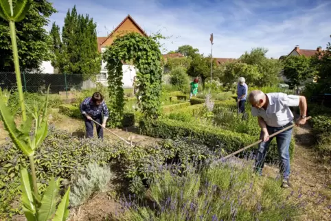  Jutta Adam, Bärbel Scheuermann-Lutz, Gabi Kassel, Klaus Kassel und Roland Paul (von links) kümmern sich um den Kräutergarten in