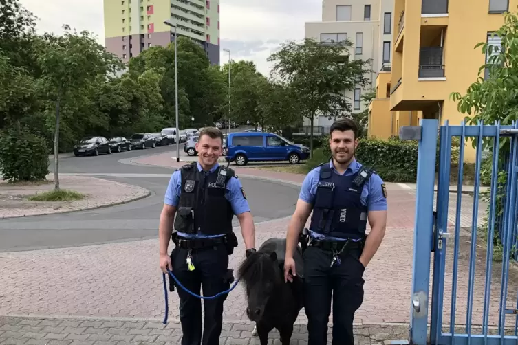Polizei_Pony1