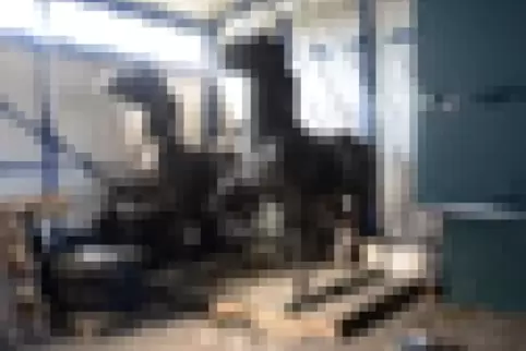 pferde2