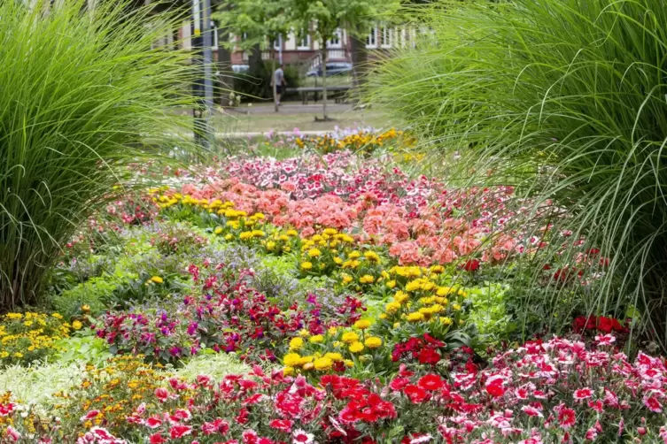 Im Stadtpark ist die geringere Anzahl an Blumen im Vergleich zu den Vorjahren recht gut kaschiert. Man habe diesmal größere Pfla