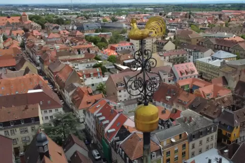 Goldige Aussichten: Blick auf die Landauer Innenstadt. 