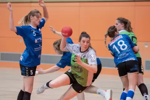 Zwei Damen-, drei Herrenmannschaften und 14 Jugendteams zählt die TV-Handballabteilung mit insgesamt 592 Mitgliedern.