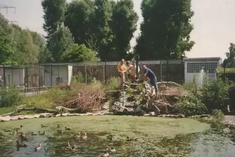 Im Juni 1992 wurde der Vogelpark in der Friedrichstraße eingeweiht.
