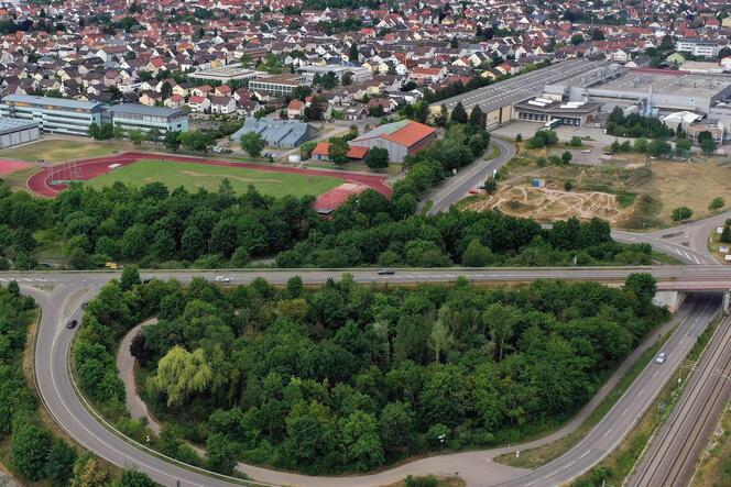 Im Bereich des Böhler Bogens hätte die Gemeinde Haßloch gerne ihre Bikerbahn.