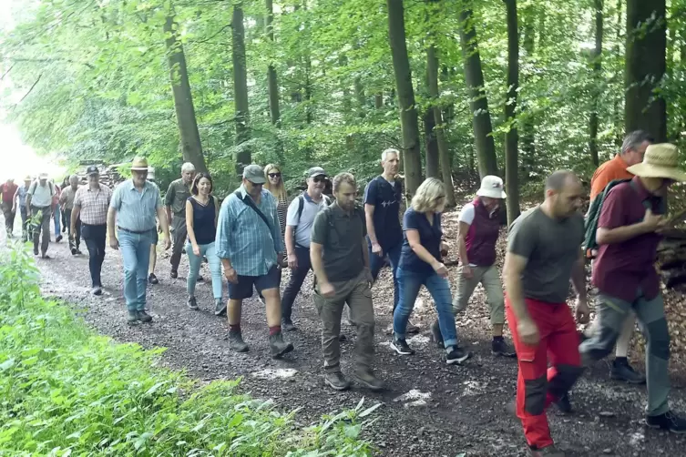 Stadtrat und Bürger haben am Samstag den Kirchheimbolaner Wald unter die Lupe genommen.