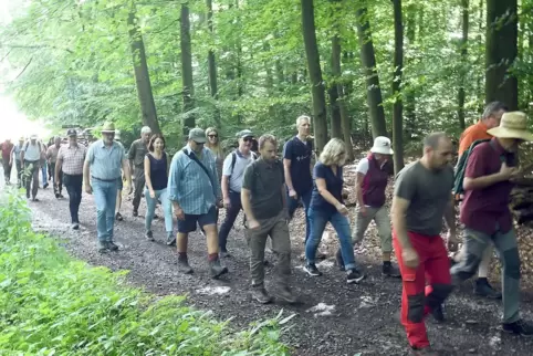 Stadtrat und Bürger haben am Samstag den Kirchheimbolaner Wald unter die Lupe genommen.