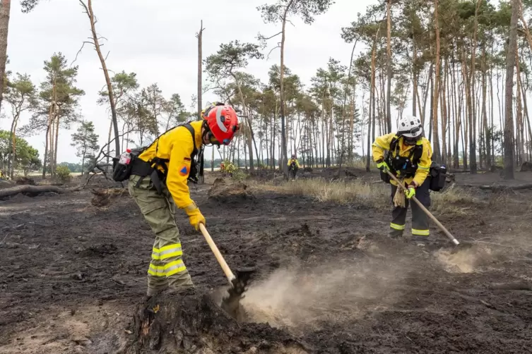 Bloß keine Glutnester übersehen: Feuerwehrfrauen bearbeiten den Boden in einem Brandenburger Waldstück, wo es gebrannt hat.