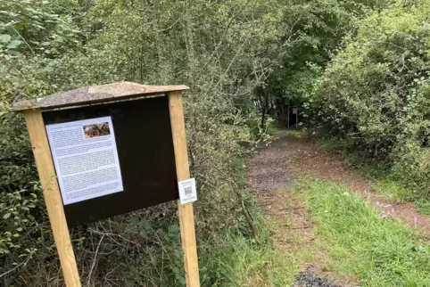 Der Bienenlehrpfad bei Steinbach ist im Vorjahr eingeweiht worden. 