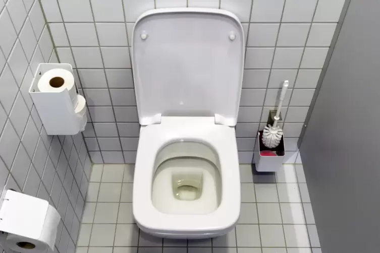 in beiden Grundschulen in Böhl-Iggelheim werden die Toilettenanlagen saniert. 