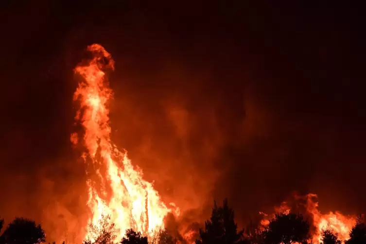 Verzehrendes Feuer: „Der Haardtrand ist eine der gefährdetsten Zonen in ganz Deutschland“, sagt der Geograph und Waldbrand-Fachm