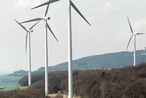 Eine Öffnung des Biosphärenreservats Pfälzerwald für Windkraftanlagen lehnt der Verbandsgemeinderat Enkenbach-Alsenborn ab. 
