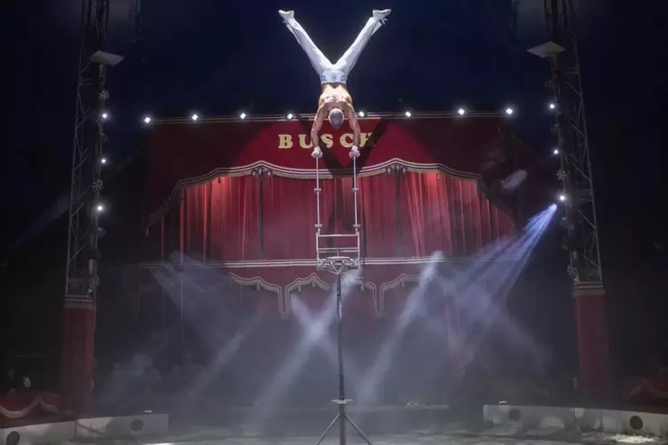 In der Manege des Circus Paul Busch zeigen die Artisten ihre akrobatischen Tricks. 