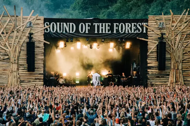 Rund 5000 Forest People sind an jedem Festivaltag im Odenwälder Auenland.