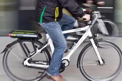 Auch um E-Bikes ging es natürlich beim ersten E-Mobilitätstag in Niederkirchen.