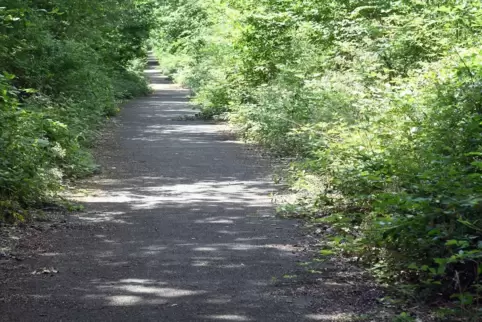 Die geteerte Strecke zwischen Mörsfeld und Stein-Bockenheim.