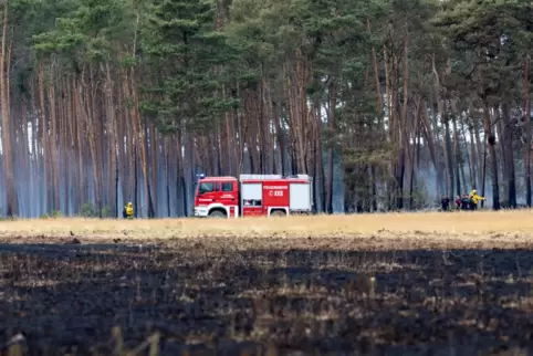 Beim Thema Waldbrand möchten die Feuerwehre der Verbandsgemeinde Bad Bergzabern stärker mit den französischen Kollegen zusammena