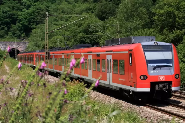 Die Bahnstrecke von Kaiserslautern durch den Pfälzerwald nach Neustadt ist ab 23. Juli an sechs Wochenenden hintereinander kompl