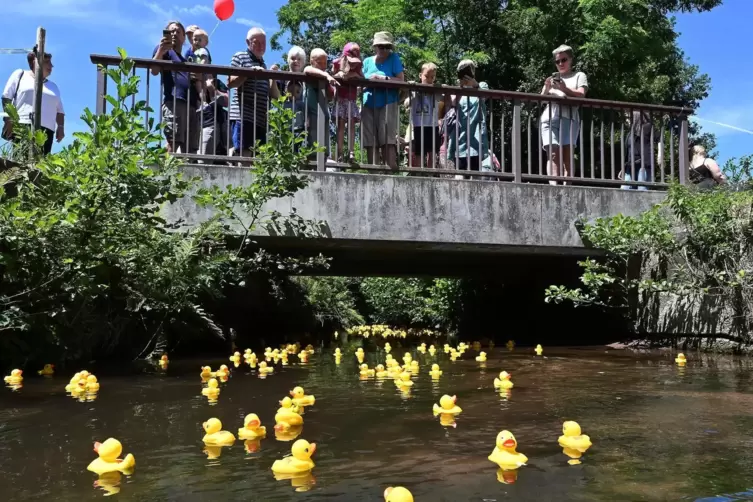 Nach dem Start: Auf der Brücke bei der Obermühle feuern Zuschauer die Quietscheentchen an. 