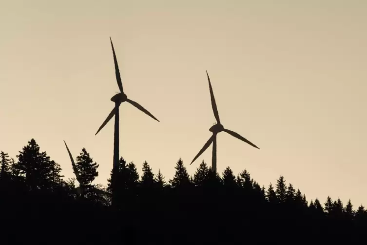 Noch ist nicht geklärt, ob Windräder im Pfälzerwald aufgestellt werden dürfen, ohne den Status des Biosphärenreservats zu gefähr