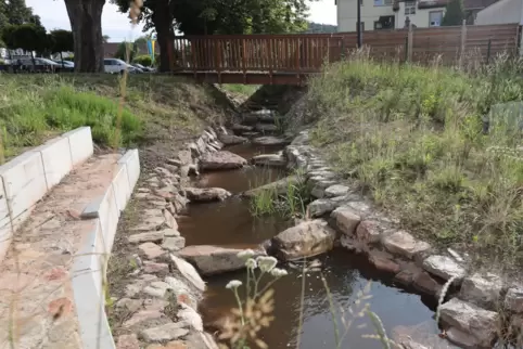 Der Eckbach in Altleiningen ist kürzlich naturnah umgestaltet worden: Er ist ein Gewässer dritter Ordnung. Dafür sind die Verban