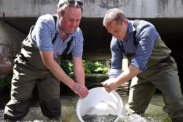 Zwei Männer und 5000 kleine Lachse: Fischerei-Referent Thomas Oswald und SGD-Präsident Hannes Kopf. 