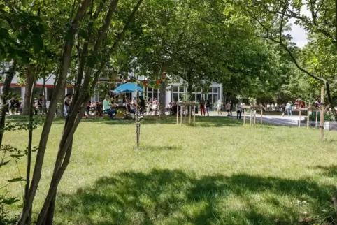 Sattes Grün: Beim Schulfest ist der seit vergangenem Sommer umgestaltete Pausenhof der Alsenzer Nordpfalzschule nun auch offizie Sattes Grün: Beim Schulfest ist der seit vergangenem Sommer umgestaltete Pausenhof der Alsenzer Nordpfalzschule nun auch offizie