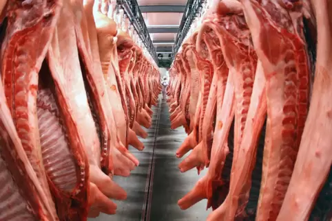 Massenware: Die Gesellschaft hat sich von den Prozessen des Jagens und Tötens entfremdet. Ein ganzer Fisch mit Kopf und Augen au