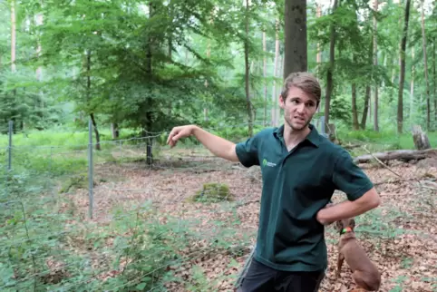 Fabian Keck ist Revierleiter des Stumpfwalds. 