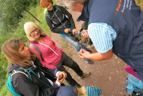 Erkenntnis- und erlebnisreich: Touren mit den Biosphären-Guides des Biosphärenreservats Pfälzerwald.